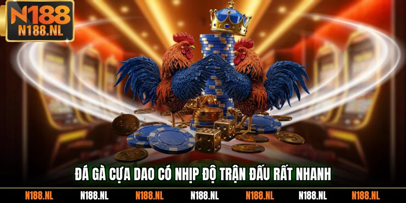 Đá gà cựa dao có nhịp độ trận đấu rất nhanh